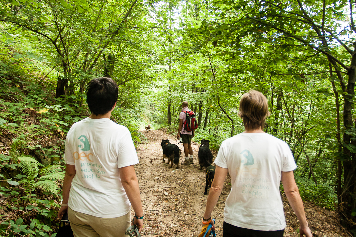 Il colpo di calore nel cane – Passeggiate con il cane consapevoli