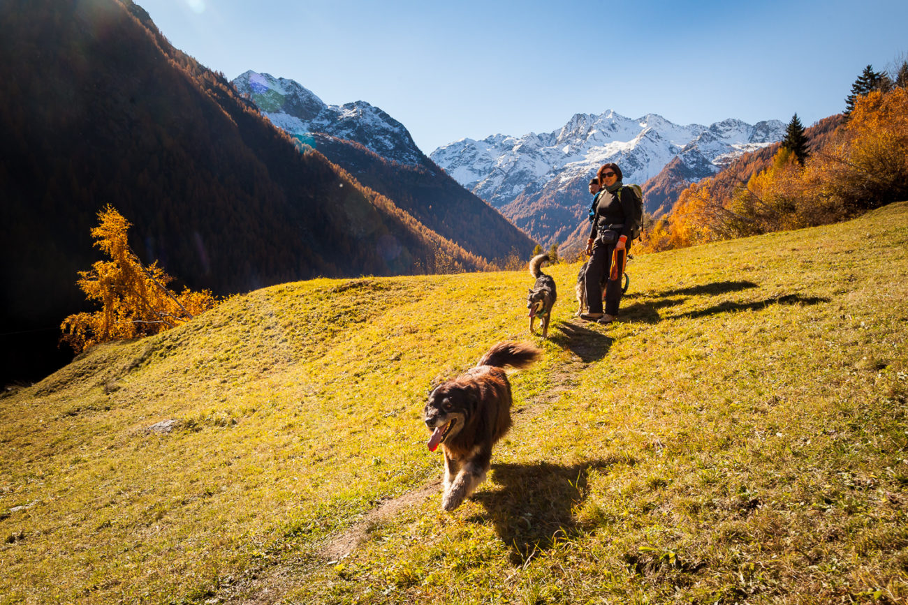 Escursione Cinofila in Val Vogna, passeggiata con il cane Valsesia