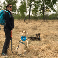 Cinture trekking cane, linea ammortizzata per cani