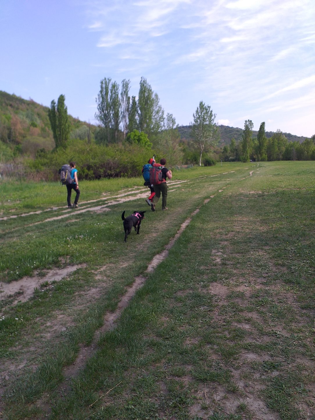 Cammino con il cane via Francigena, Cammino di Oropa con il cane