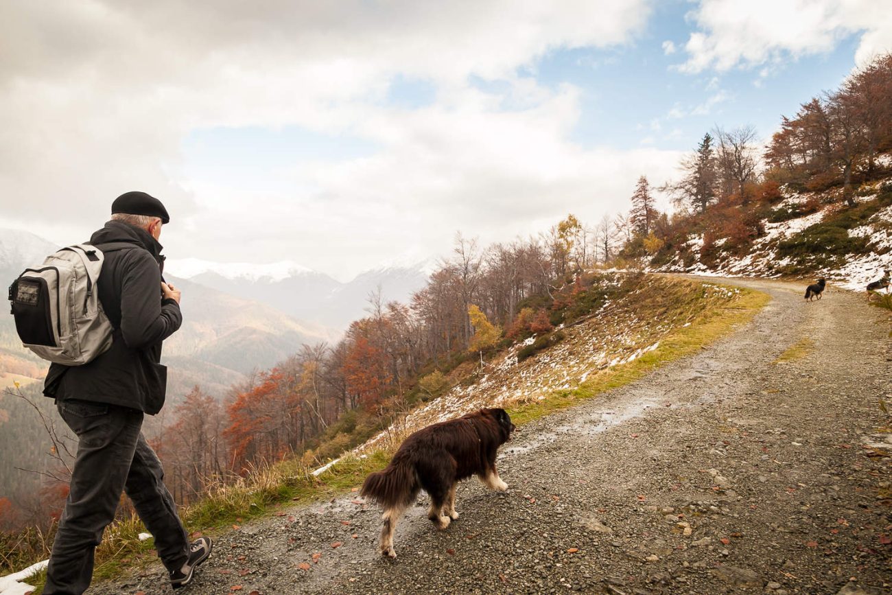 Trekking con il cane in Piemonte – Oasi Zegna, Biella