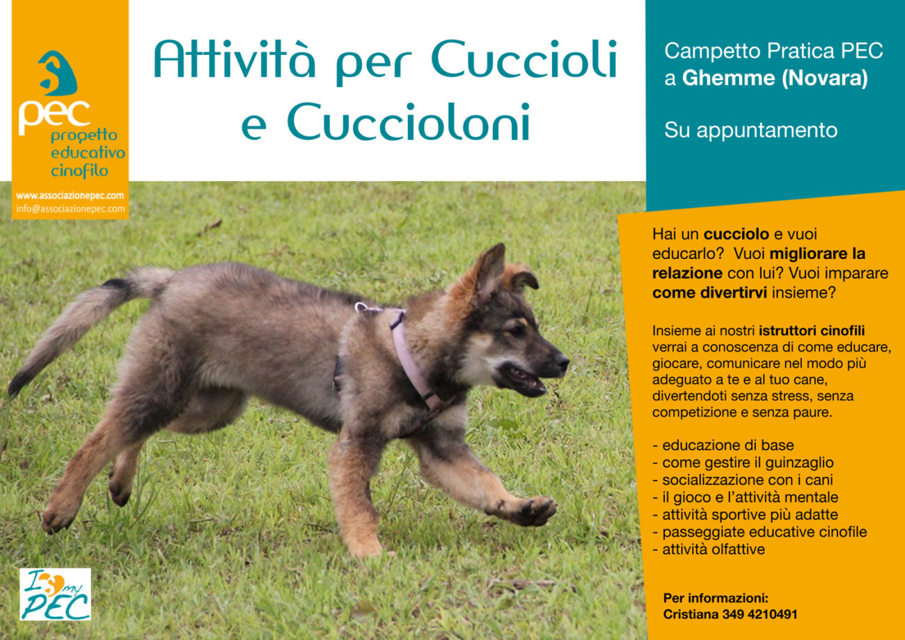 Cuccioli educazione addestramento attività cuccioli Novara Vercelli Biella