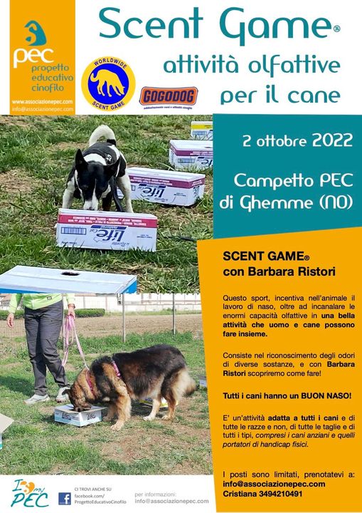Scent Game giochi naso cane vicino Novara Vercelli Biella