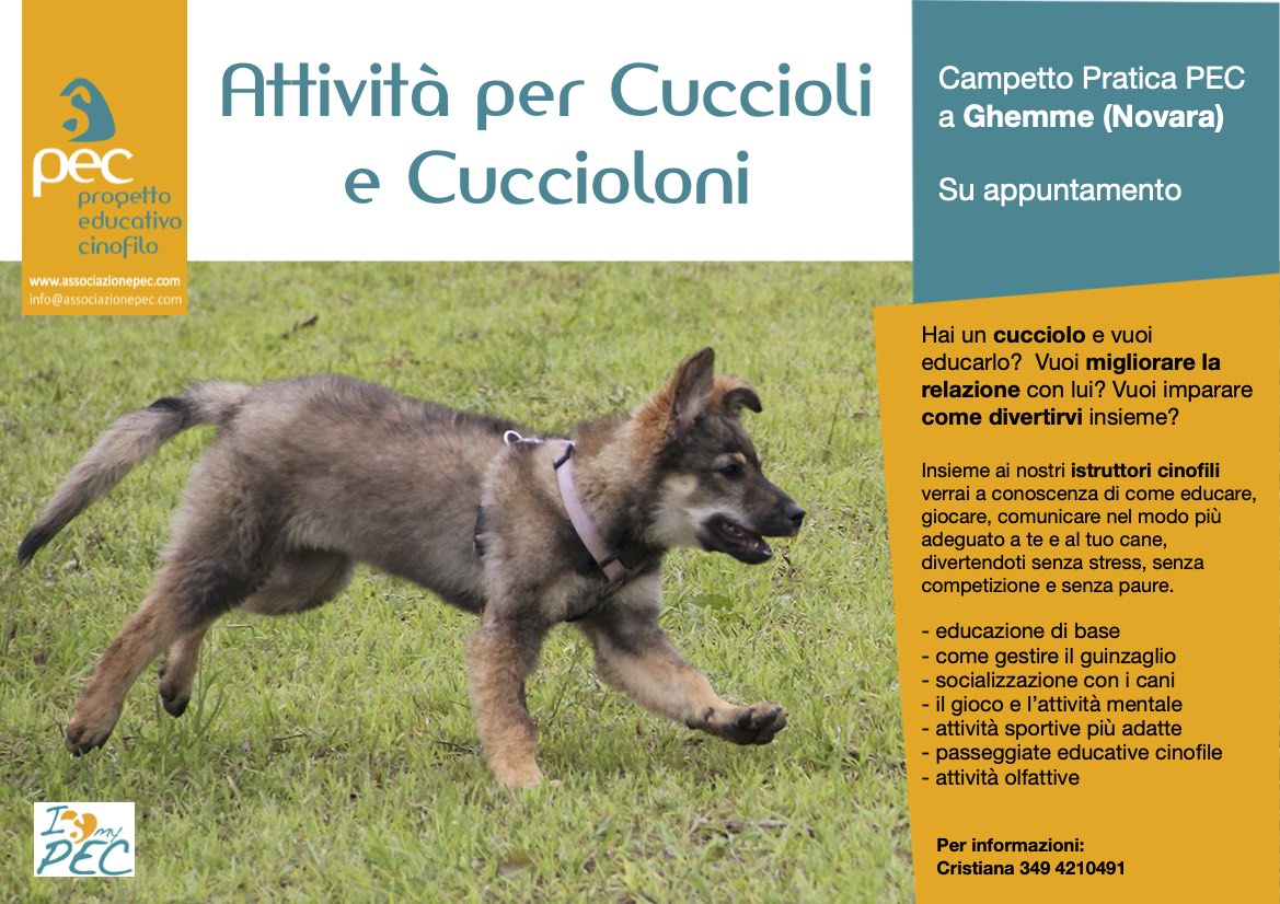 Educazione cuccioli addestramento cucciolo cane Novara Vercelli Biella
