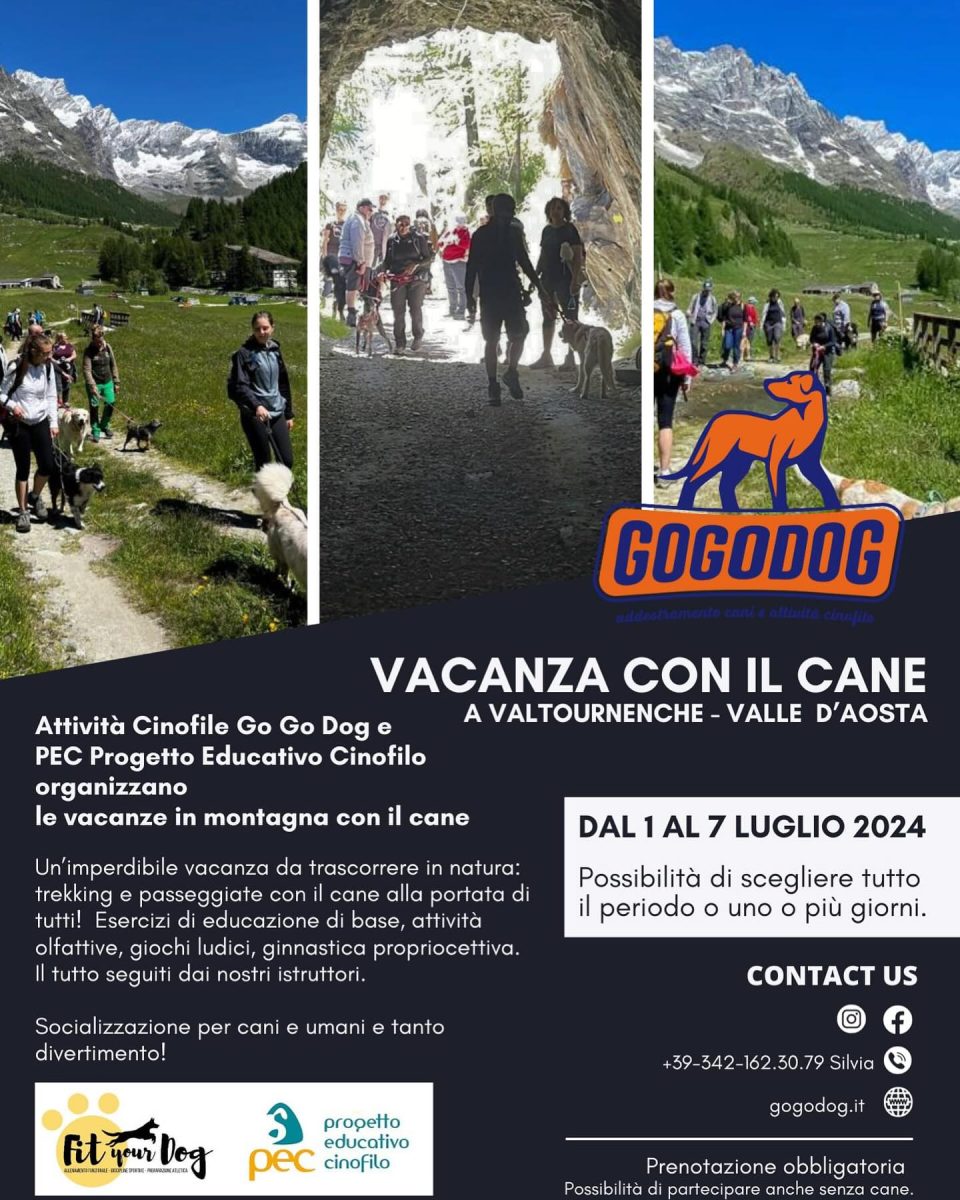 Vacanza Cane Valle Aosta trekking cane 2024