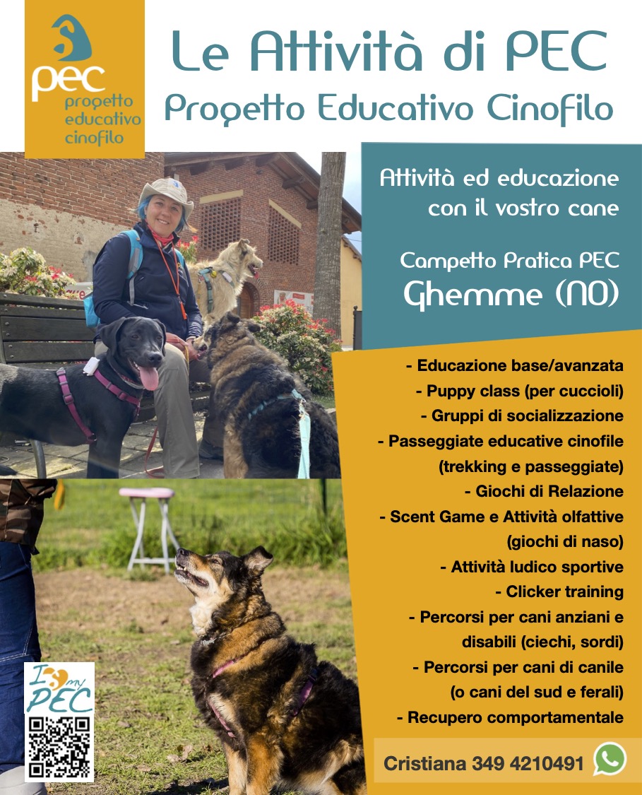 Attività educazione cane 2023 Ghemme Novara
