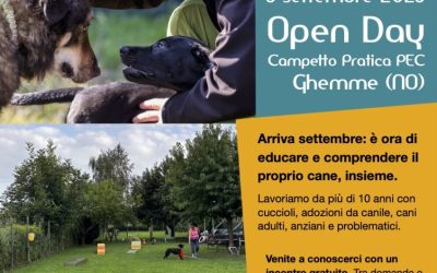 Educazione cane e attività al campetto Ghemme (Novara) – Open Day gratuito