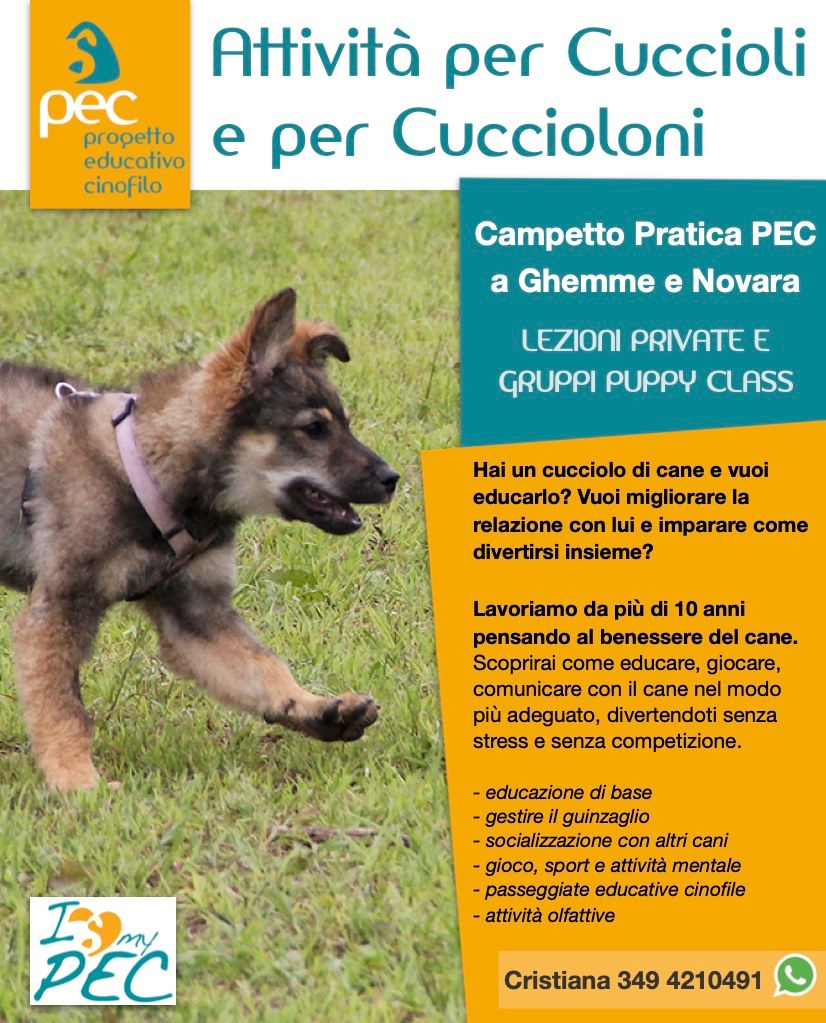 Educazione cucciolo cane Novara Vercelli Biella