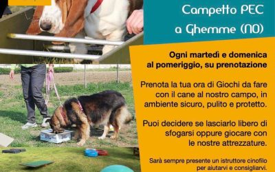 Campo giochi per il cane a Ghemme – Novara