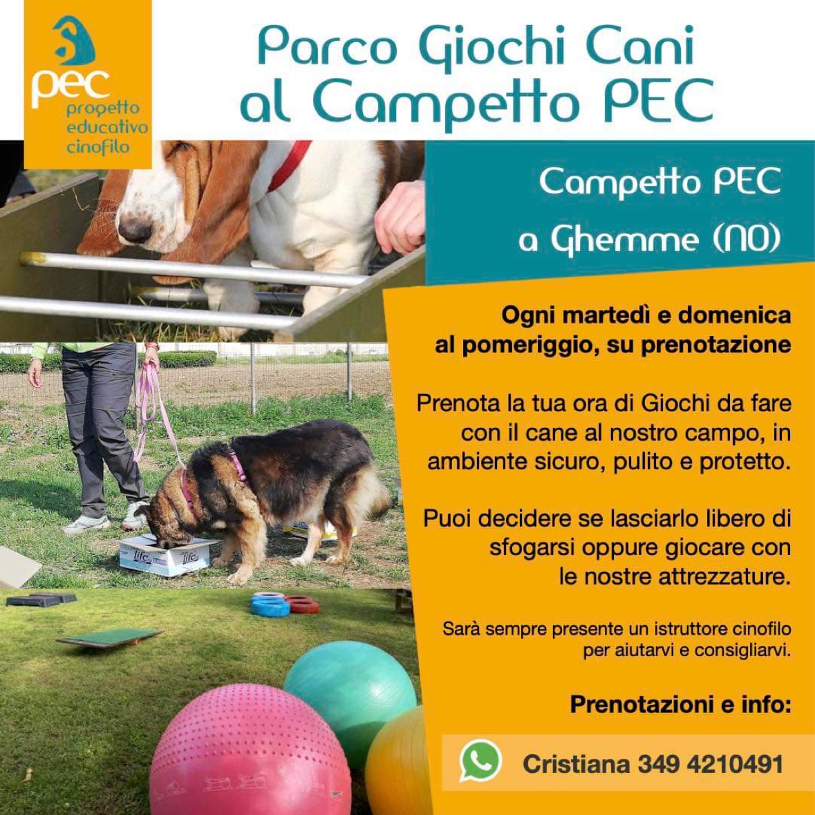 Campo giochi per cane Novara Borgomanero Ghemme Romagnano Gattinara Borgosesia Sizzano Oleggio Prato Sesia