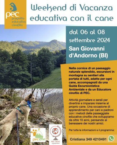 Vacanza trekking cane Piemonte 2024