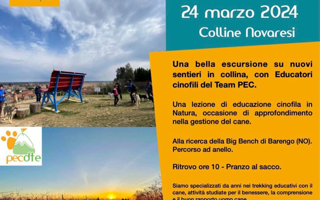 Trekking con il cane Colline Novaresi – Piemonte 24 marzo 2024