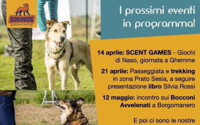 Attività con il cane Aprile e Maggio 2024 tra Ghemme, Prato Sesia, Borgomanero e Novara